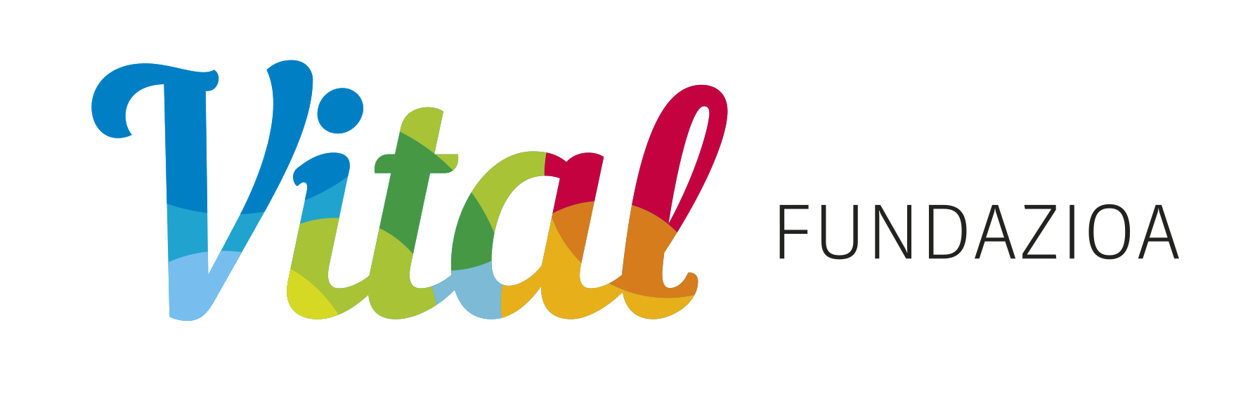 Fundación Vital Fundazioa